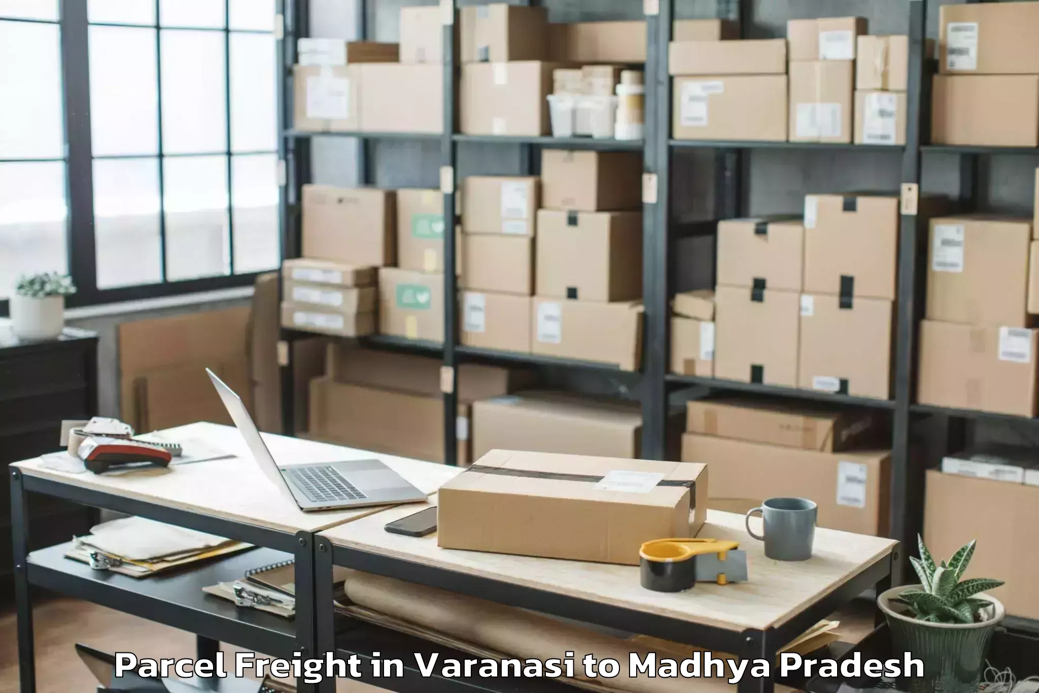 Varanasi to Dhamnod Parcel Freight